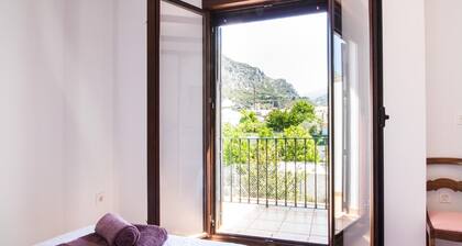 house with pool, barbecue