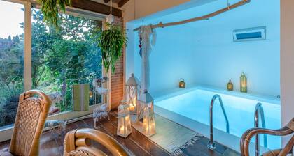 Panoramic Villa on lämmitetty allas, ilmastointi, poreallas, kuntosali & Wifi