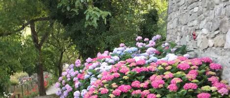 Parco della struttura