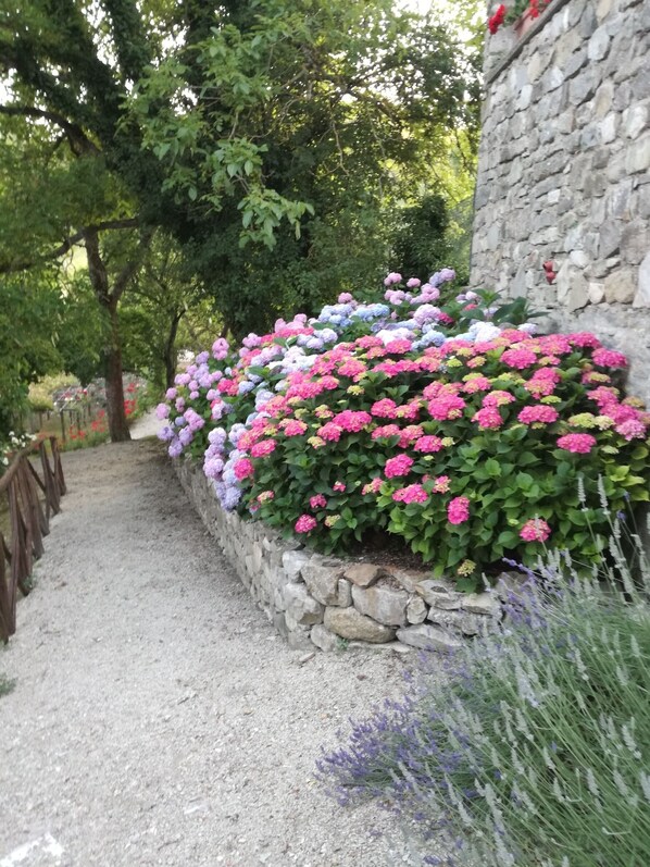 المنطقة المحيطة بالمنشأة