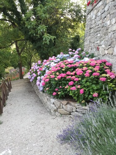 Fattoria di Arsicci, your home in Italy.