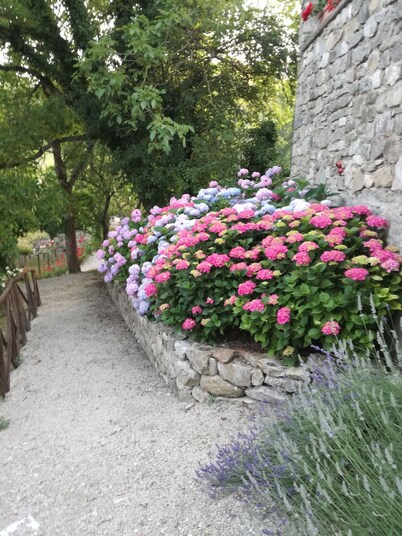 Fattoria di Arsicci, your home in Italy.