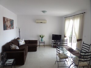 TV, DVD player, video library