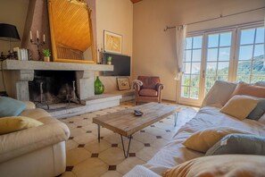 TV, fireplace, DVD player, books