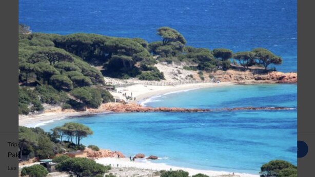 A coastal landscape with a beach, trees, and a clear blue sea. - Mansion - SORBOLLANO (Sorbollano)