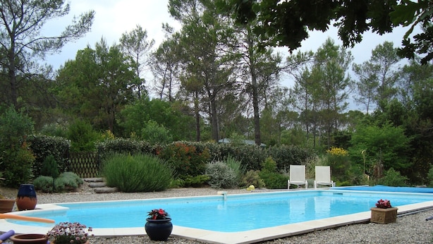 A rectangular swimming pool with a pebble border, surrounded by a garden with various plants and trees.