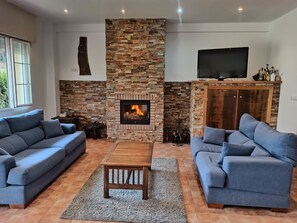 TV, fireplace, video games, DVD player