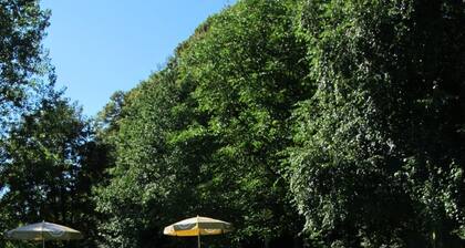 Cottage pour 10 personnes toutes avec salle de bain avec piscine extérieure