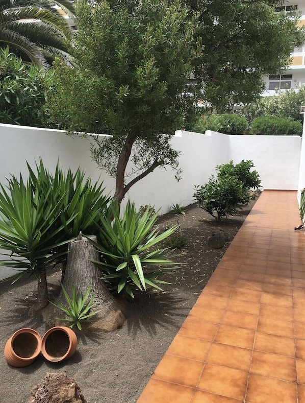 Terrein van de accommodatie