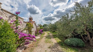A stone pathway leading through a garden with flowering plants and trees. - Villa Torine ZadarVillas (Zapužane)