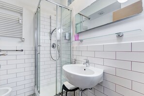Shower, hair dryer, bidet, towels