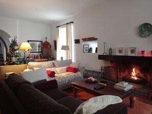 TV, fireplace, books