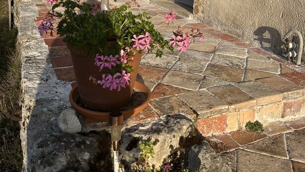 Un bâtiment en pierre à l’aspect rustique, doté d’une série de fenêtres avec volets, d’un escalier en pierre et de plantes en pot ornées de fleurs roses.
