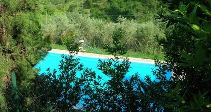 Pieni talo metsässä suola-altaalla 2 hengelle lähellä taidekaupunkia, merta.