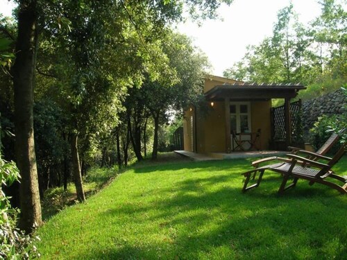 Kleines Haus im Wald mit Pool