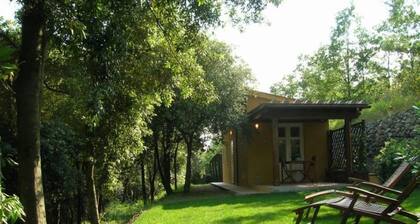 Kleines Haus im Wald mit Pool