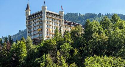 BEAUTIFUL COZY APARTMENT IN GSTAAD