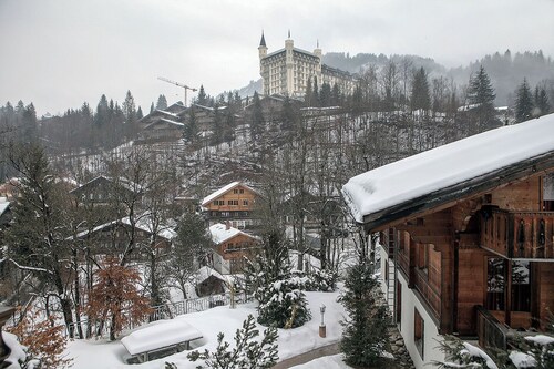 BEAUTIFUL COZY APARTMENT IN GSTAAD