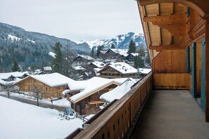 Property grounds - BEAUTIFUL COZY APARTMENT IN GSTAAD (Gstaad)