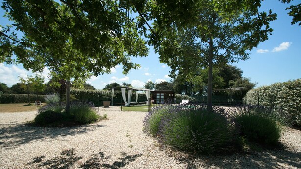 Un giardino con un pergolato, un vialetto ghiaioso e diverse piante.
