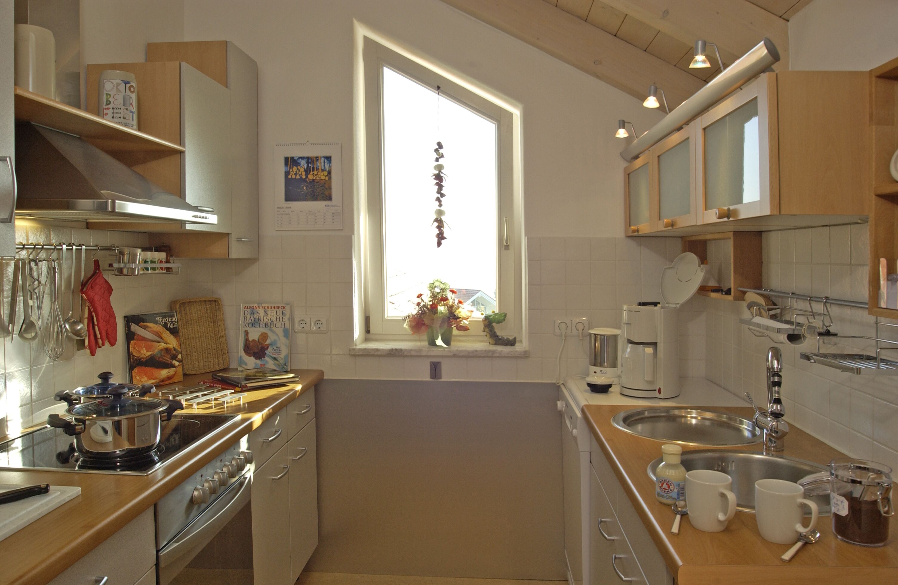 Frigorífico, microondas, placa de cocina y lavavajillas