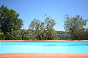 Relax by the serene pool surrounded by lush greenery and mature trees.