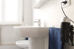Shower, hair dryer, bidet, towels
