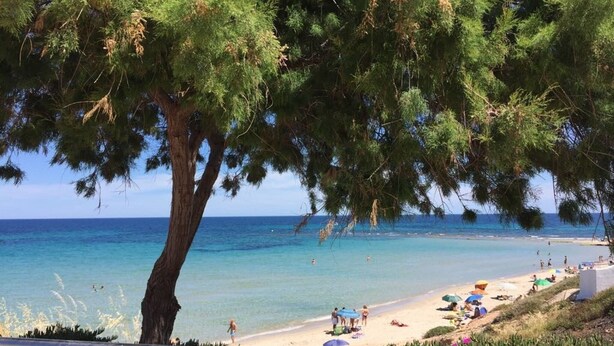 Une plage avec une eau turquoise et limpide, des gens qui prennent un bain de soleil et des parasols.