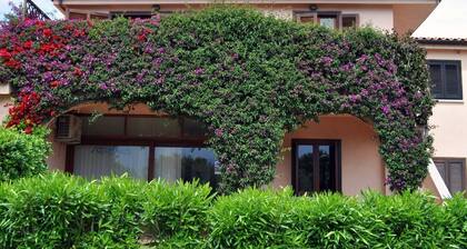 Appartement balnéaire essentiel et original à San Teodoro