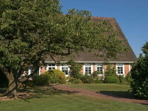 Unclassified image, 5 of 21, button