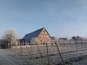 A barn with a sloped roof, surrounded by a fenced vineyard.