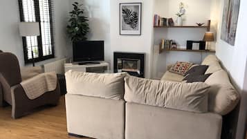 TV connectée, cheminée, lecteur de DVD, livres