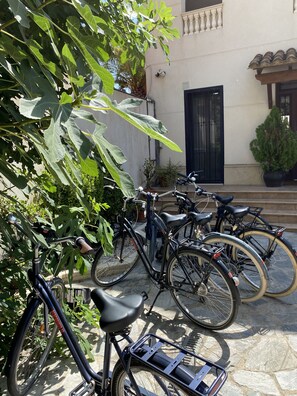 Property grounds - House / Villa - Valencia (Valencia)