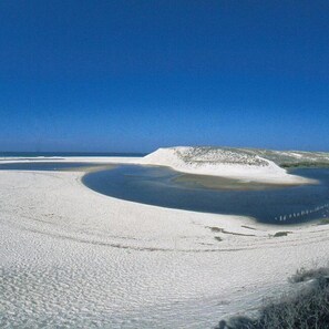 A vast sandy landscape with a large body of water and a hill in the background. - House / Villa - MOLIETS ET MAA (Moliets-Et-Maa)