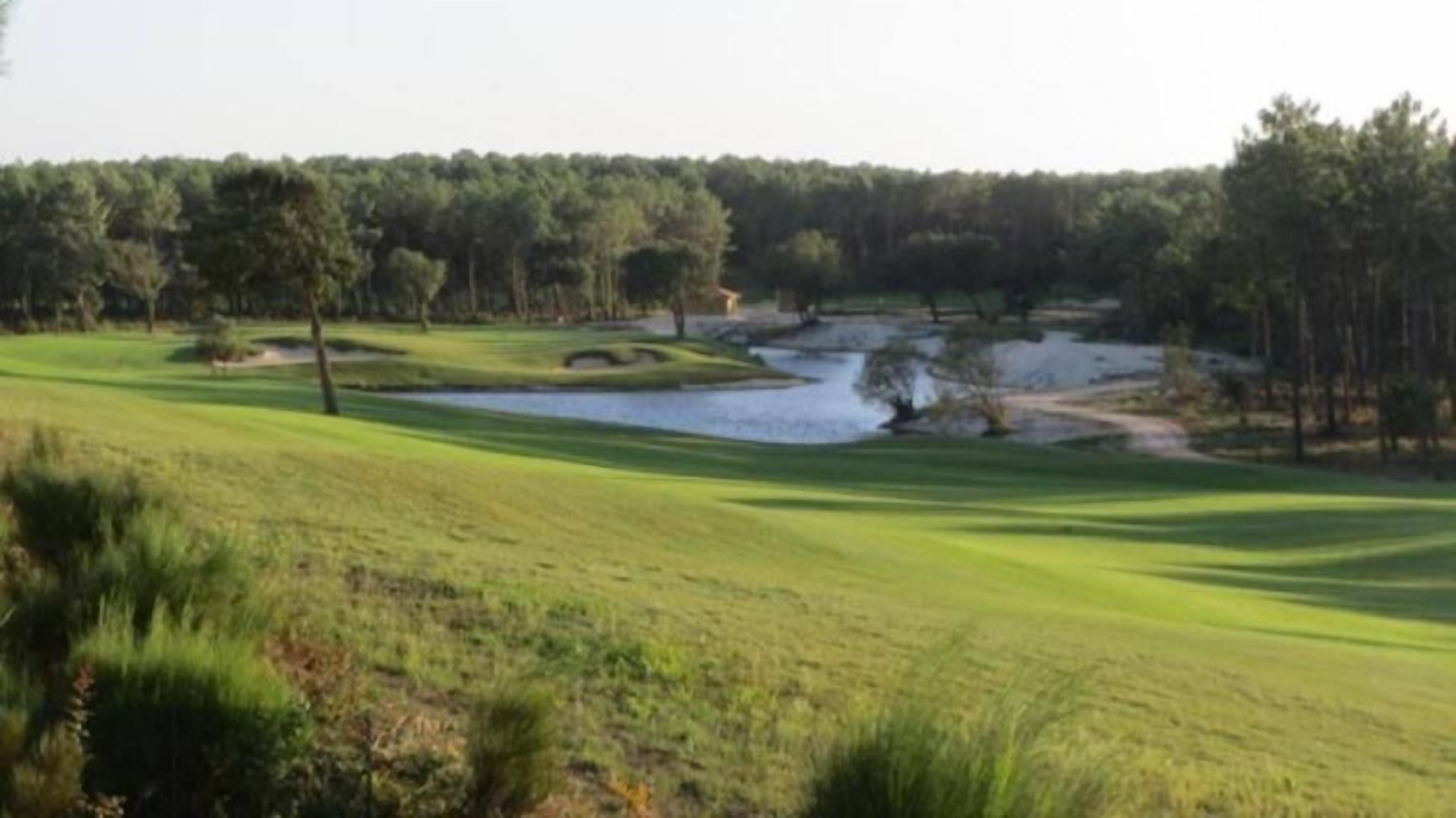 A golf course with a pond, trees, and a clear sky.