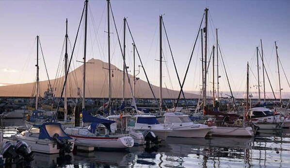 Enjoy serene waterfront views and moored sailboats in a well-organized marina near majestic mountains.