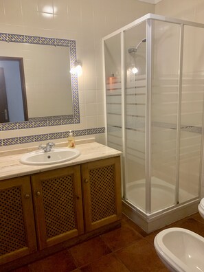 Combined shower/bathtub, hair dryer, bidet, towels
