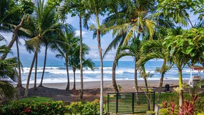 Un jardín junto a la playa con palmeras, un camino que lleva a la orilla y mobiliario de exterior.
