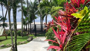 Un sendero que lleva a una playa con palmeras y plantas tropicales.