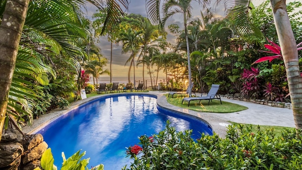 Una piscina rodeada de plantas tropicales y palmeras, con sillas de descanso y vista al océano.
