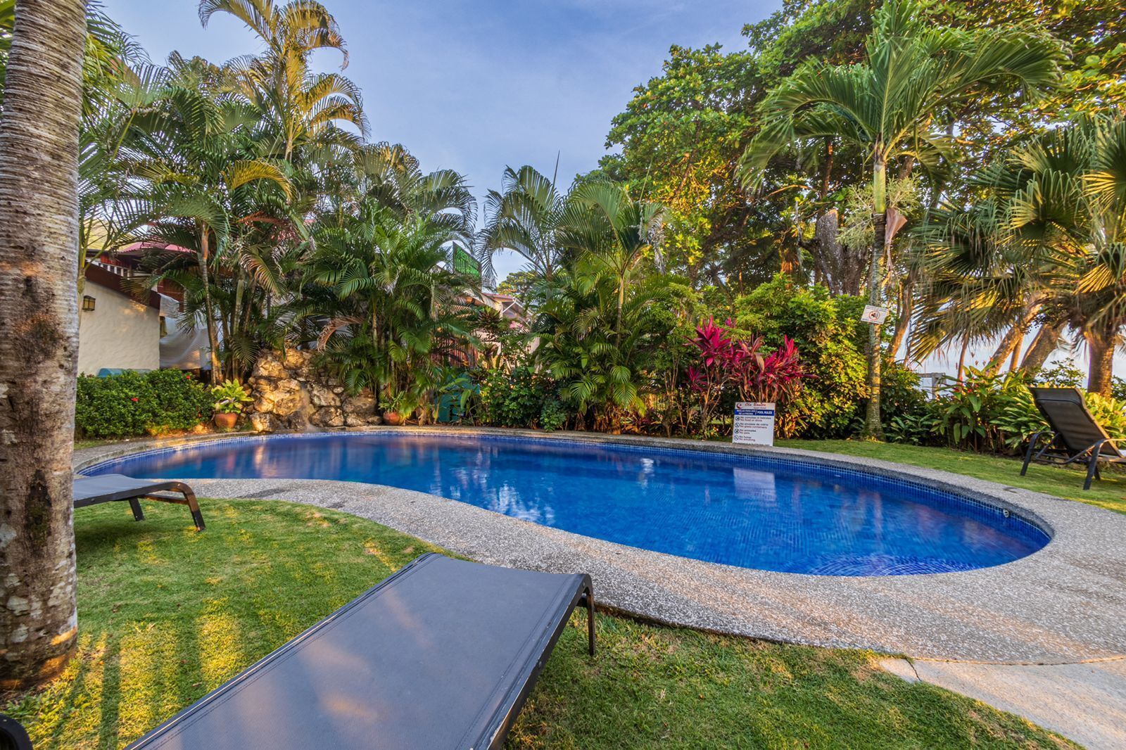 A swimming pool surrounded by lush greenery, with a lounge chair and a small deck area.