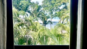 Una ventana con vistas a un paisaje tropical, que incluye palmeras y un cielo despejado.