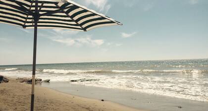 Luxury 5 star chocolate box thatched cottage close to west Wight beaches