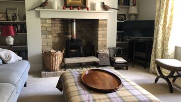 Smart TV, fireplace, DVD player, books