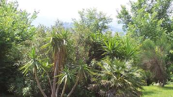 Àrea exterior de l'allotjament