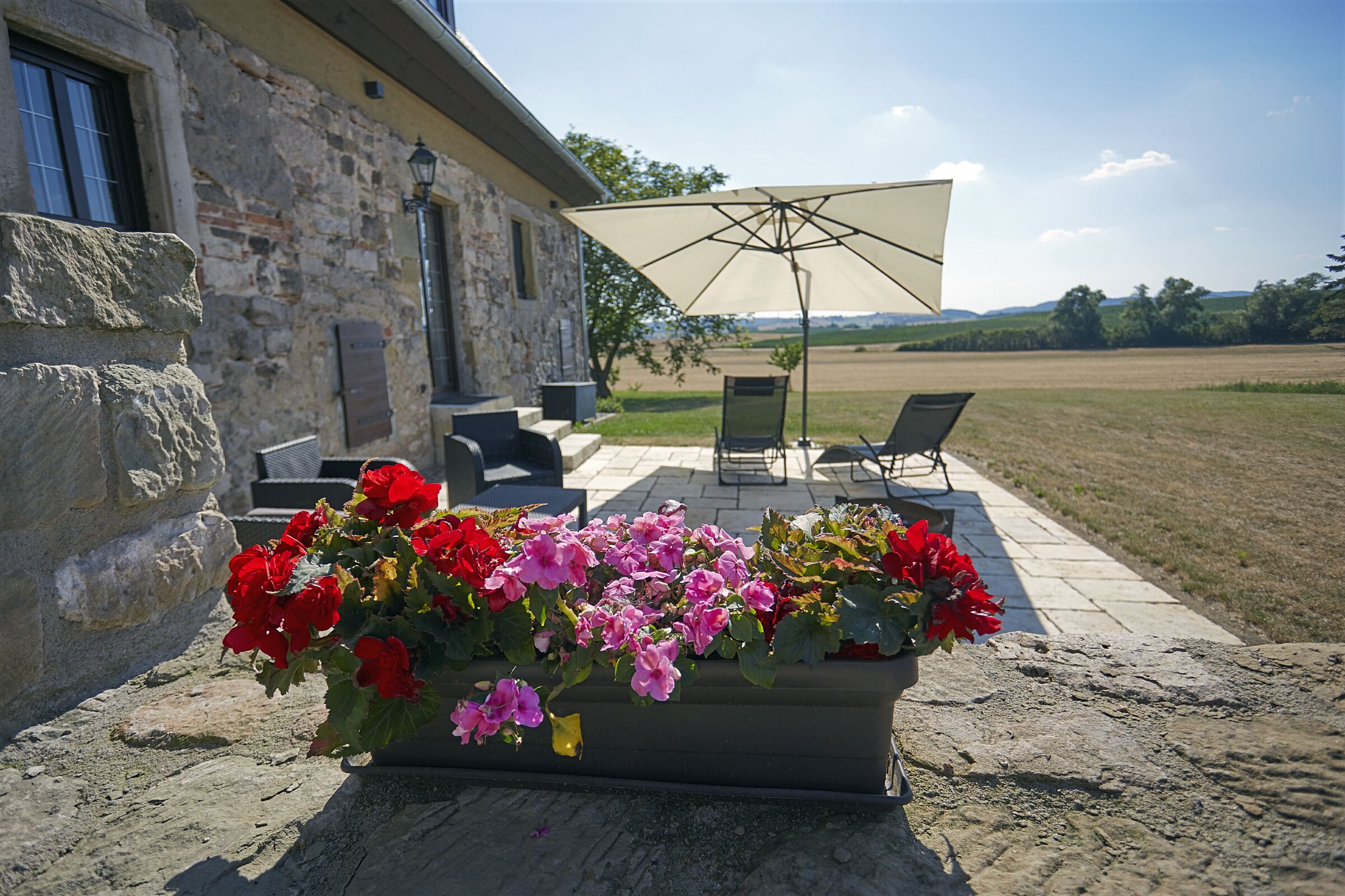 Jardines del alojamiento