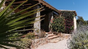 A stone building with a stone staircase leading to a door, surrounded by various plants and flowers.