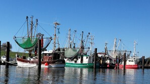 Port de plaisance