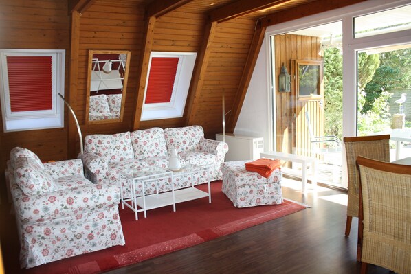 Televisio, takka, DVD-soitin, leluja