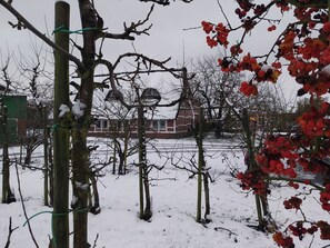 Un paysage enneigé, avec des arbres sans feuilles et un bâtiment en arrière-plan.